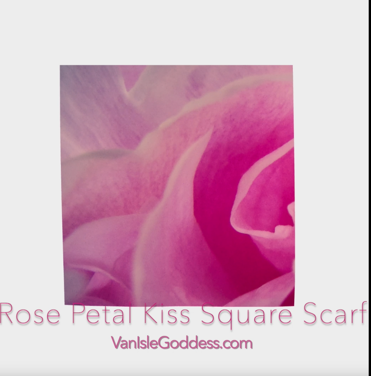 Rose Petal Kiss square scarf shown full size