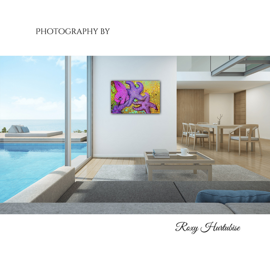 Starfish Photography by Roxy