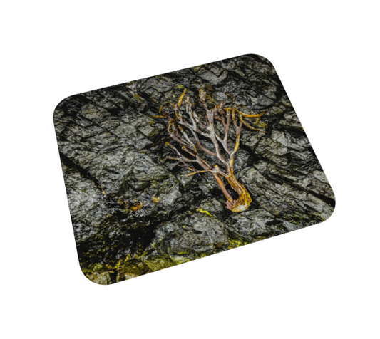 Sea To Tree Desk Mat Mousepad