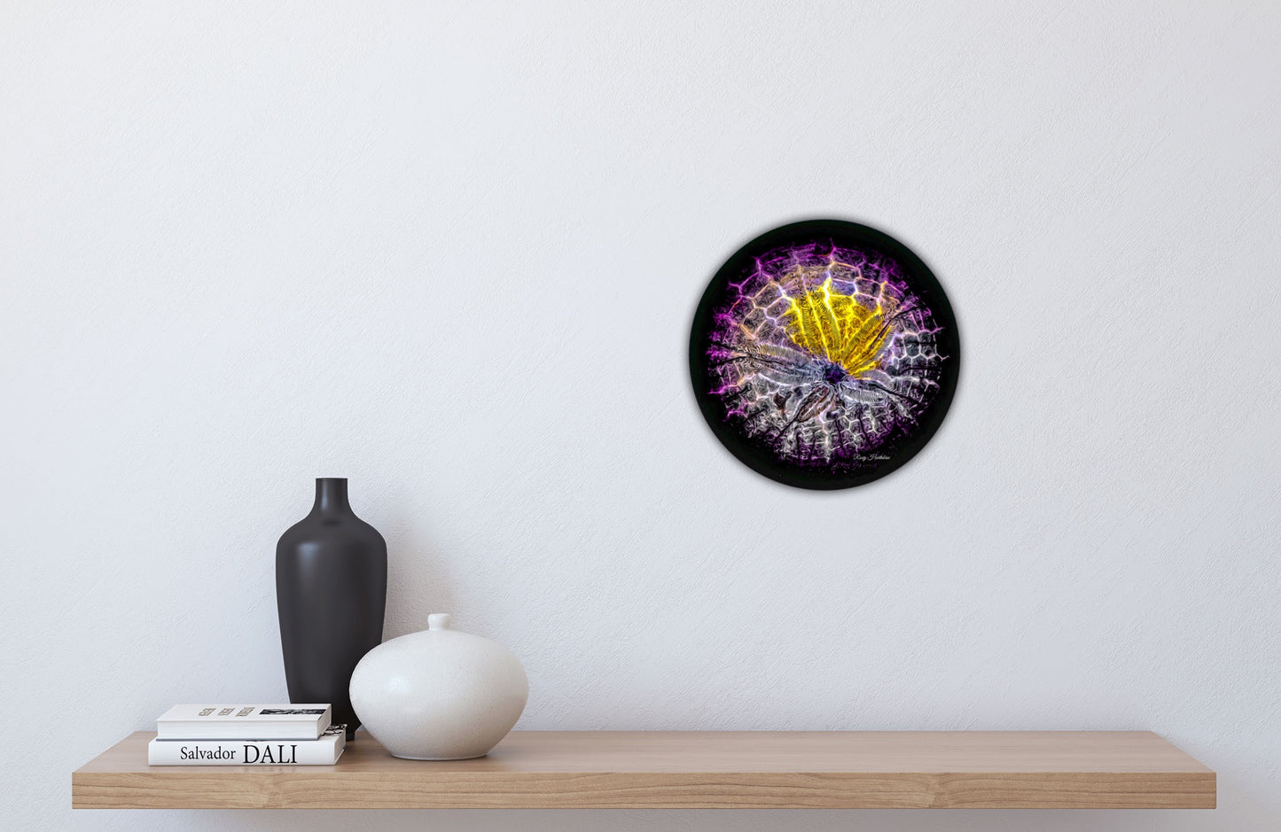 Spotlight Sand Dollar Photography Round Aluminum