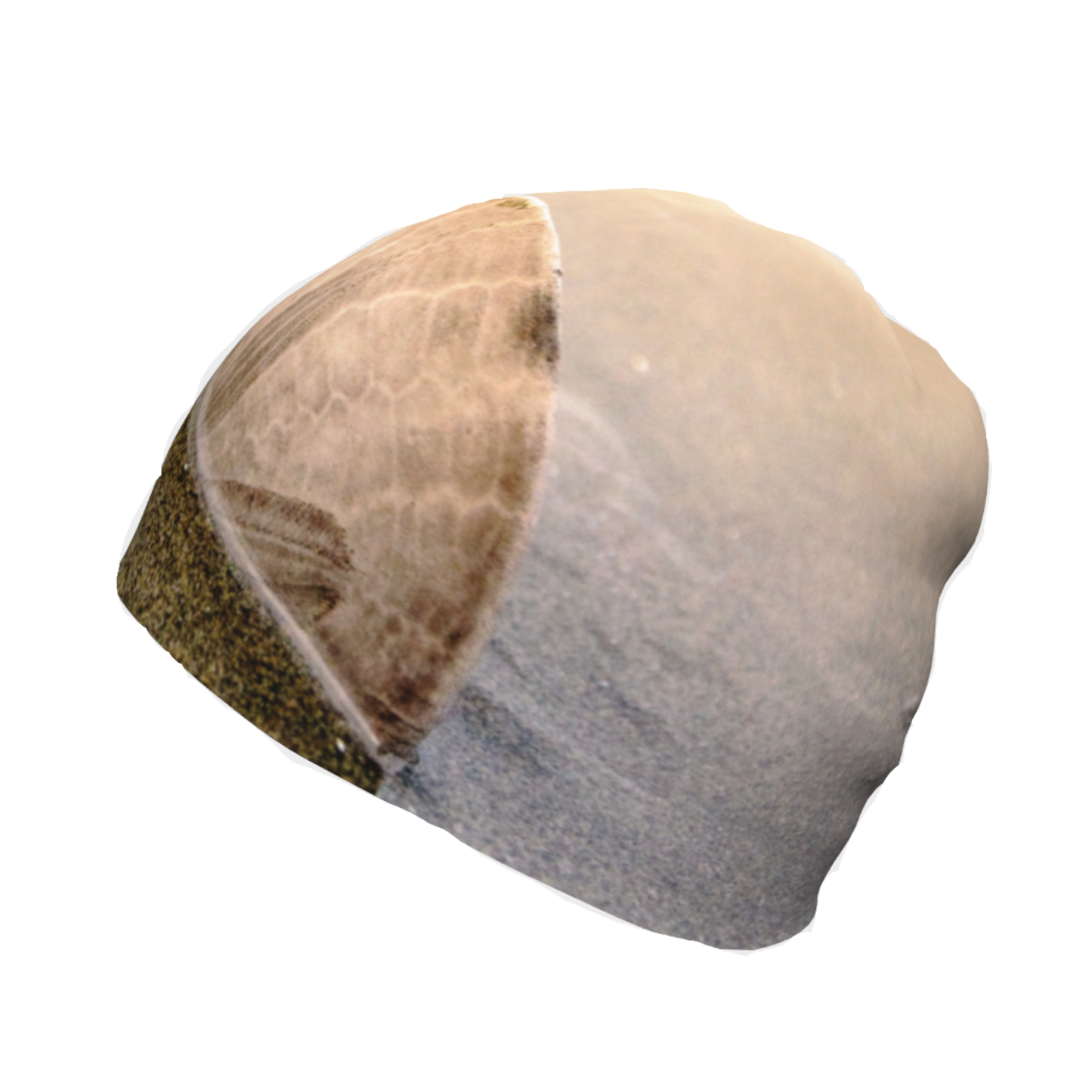 Standing in the Glow Sand Dollar Beanie