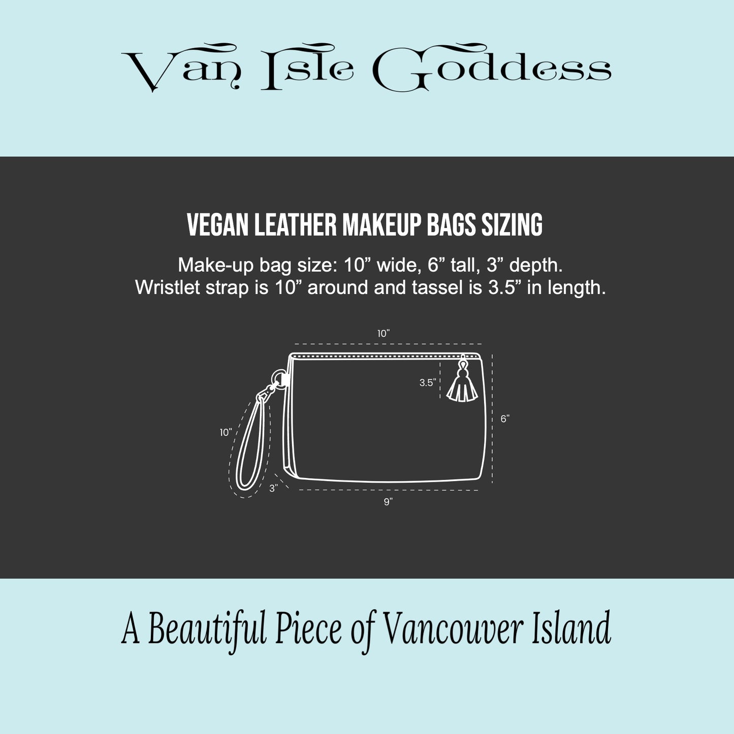 Alberni Inlet Vegan Leather Makeup Bag