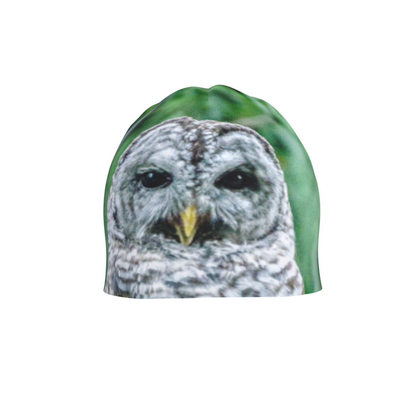 Wise Owl Beanie