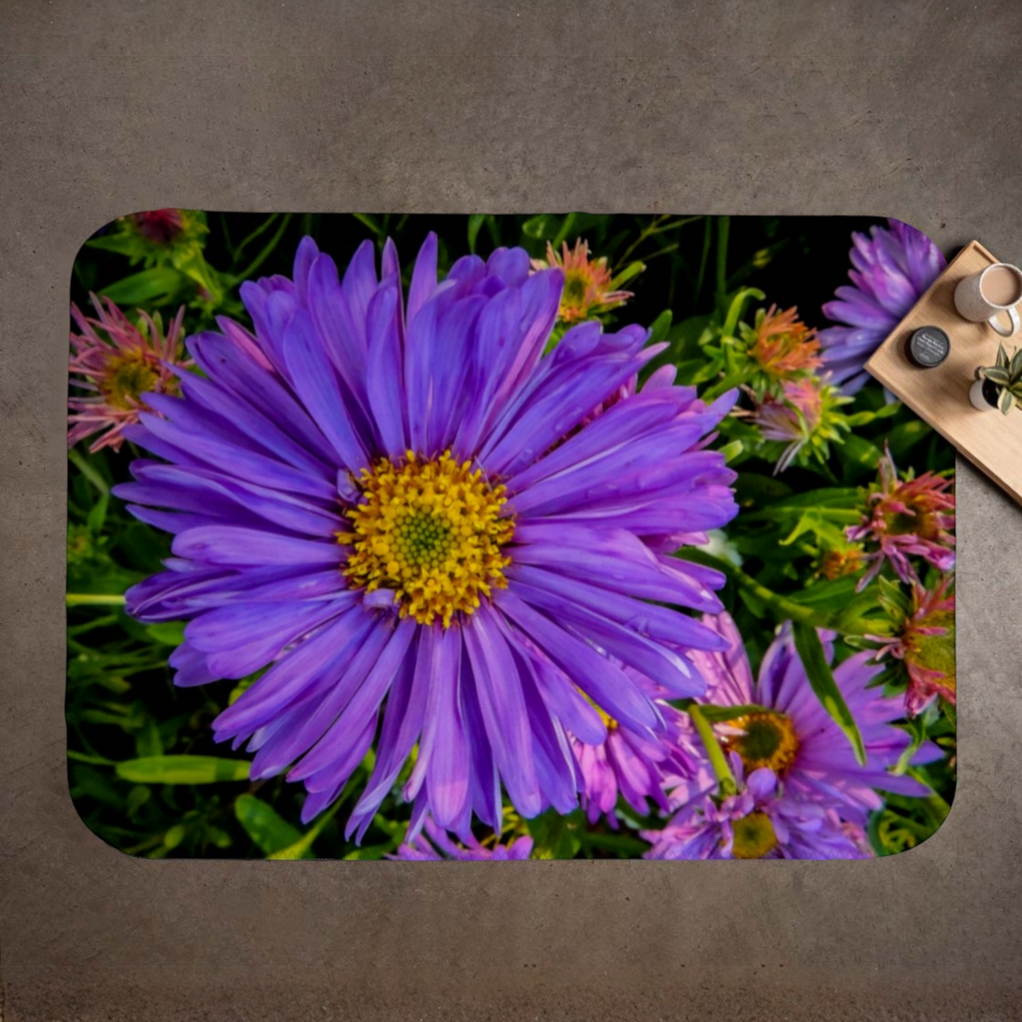 Aster Flower Coastal Blanket