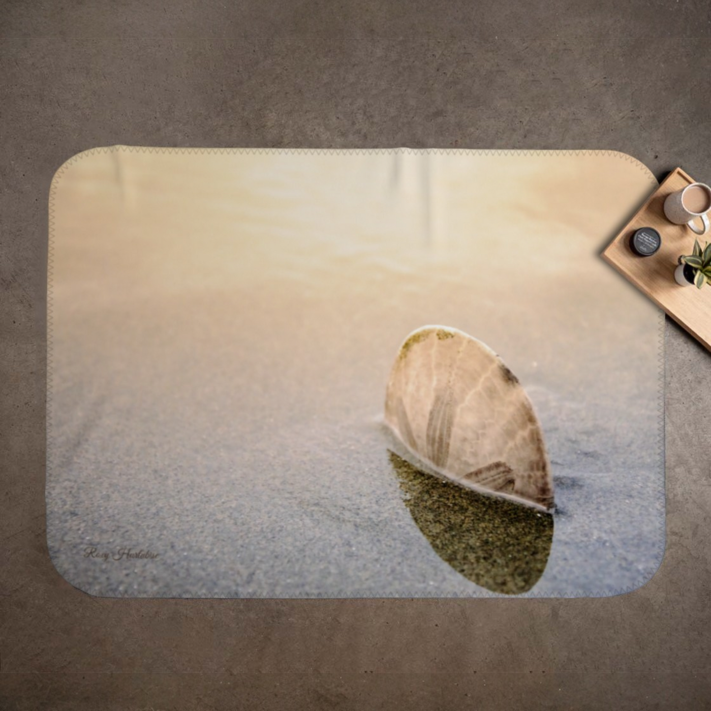 Standing in the Glow Sand Dollar Coastal Blanket