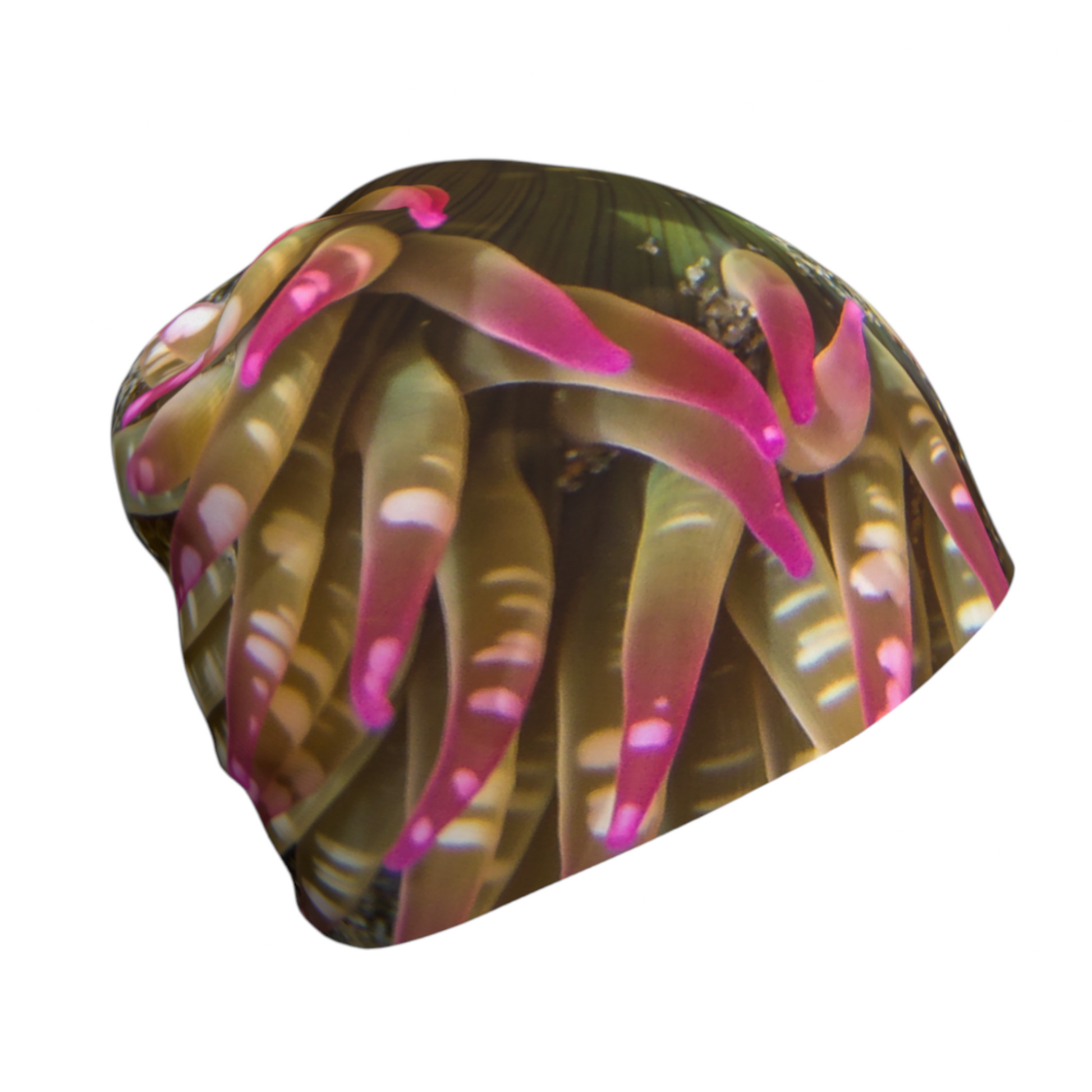 Right side Enchanted Sea Anemone Beanie by Roxy Hurtubise VanIsleGoddess.Com