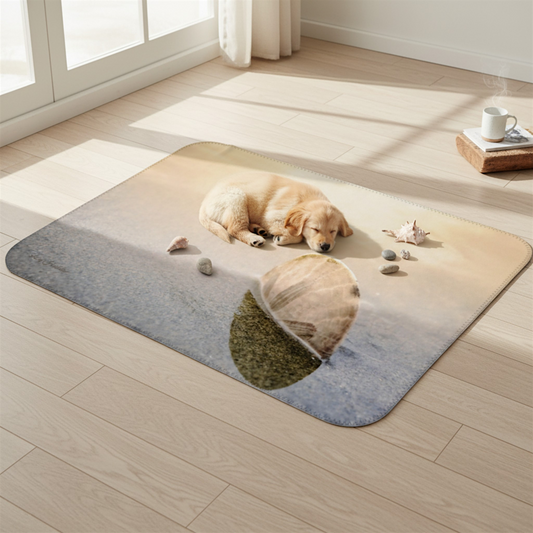 Van Isle Goddess sand dollar blanket in soft minky fabric, featuring a close-up of a sand dollar on a beach at sunset.