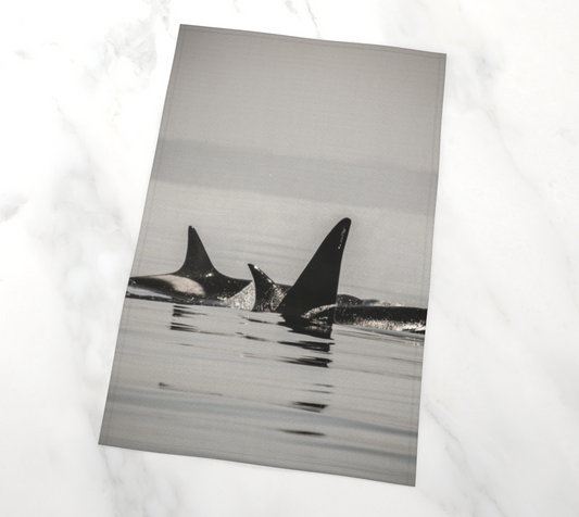 Orca Pod on Vancouver Island Tea Towels photography by Roxy Hurtubise VanIsleGoddess.com