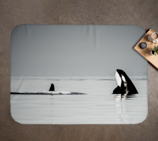 Orca Spy Hop Coastal Blanket