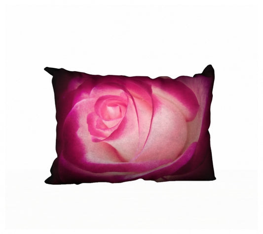 Illuminated Rose 20" x 14" Throw Pillow Cover