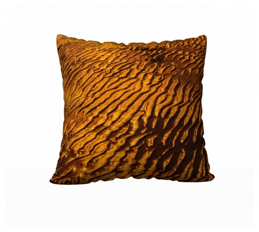 Golden Sand 22" x 22" Throw Pillow Cover