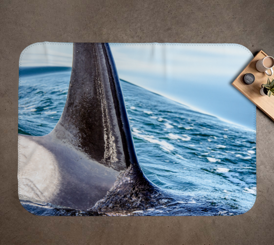 Orca Apex Coastal Blanket