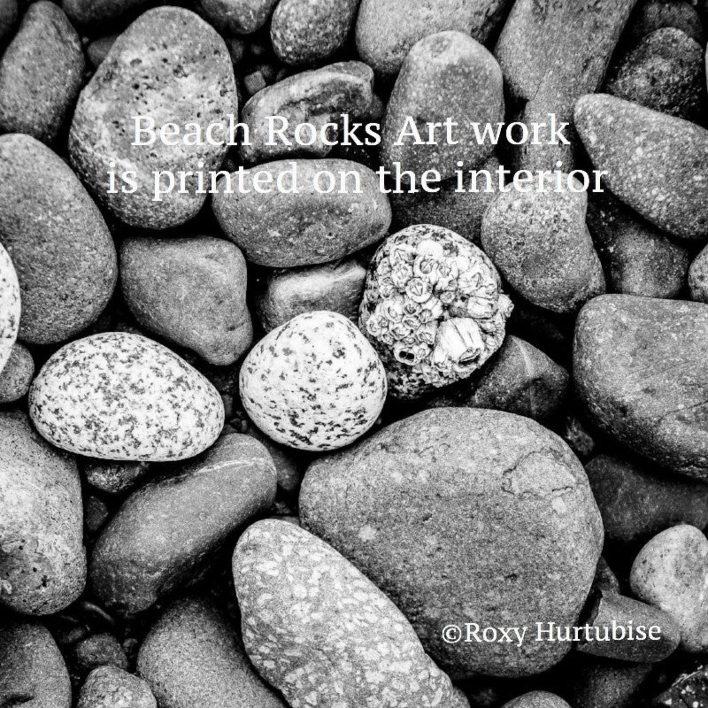 Beach Rocks art work is printed on the interior