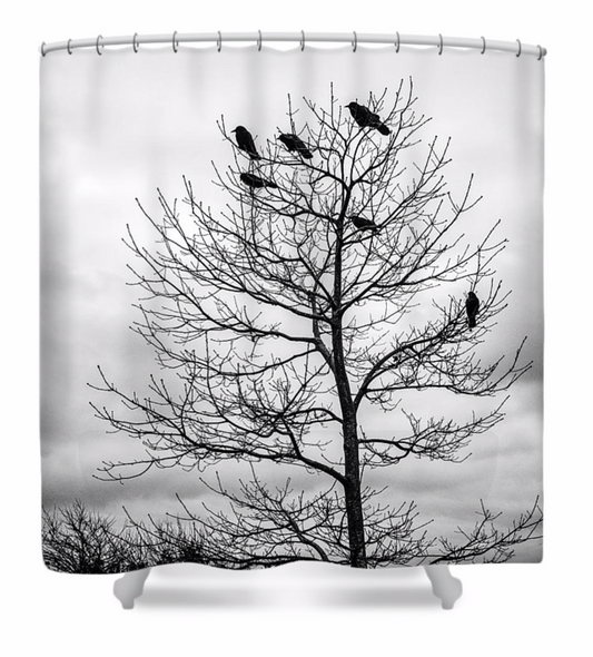 Blackbirds Shower Curtain