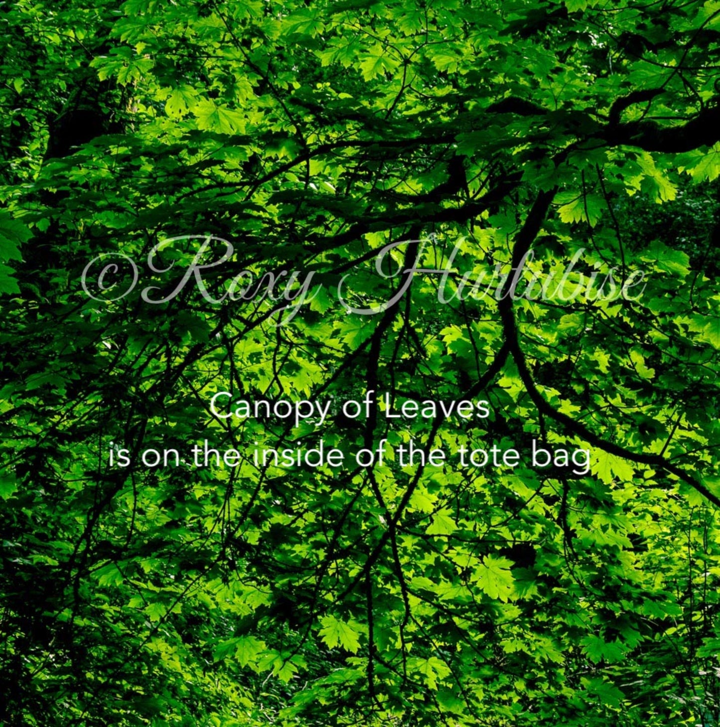 Canopy of Leaves is printed on the inside of the tote bag.