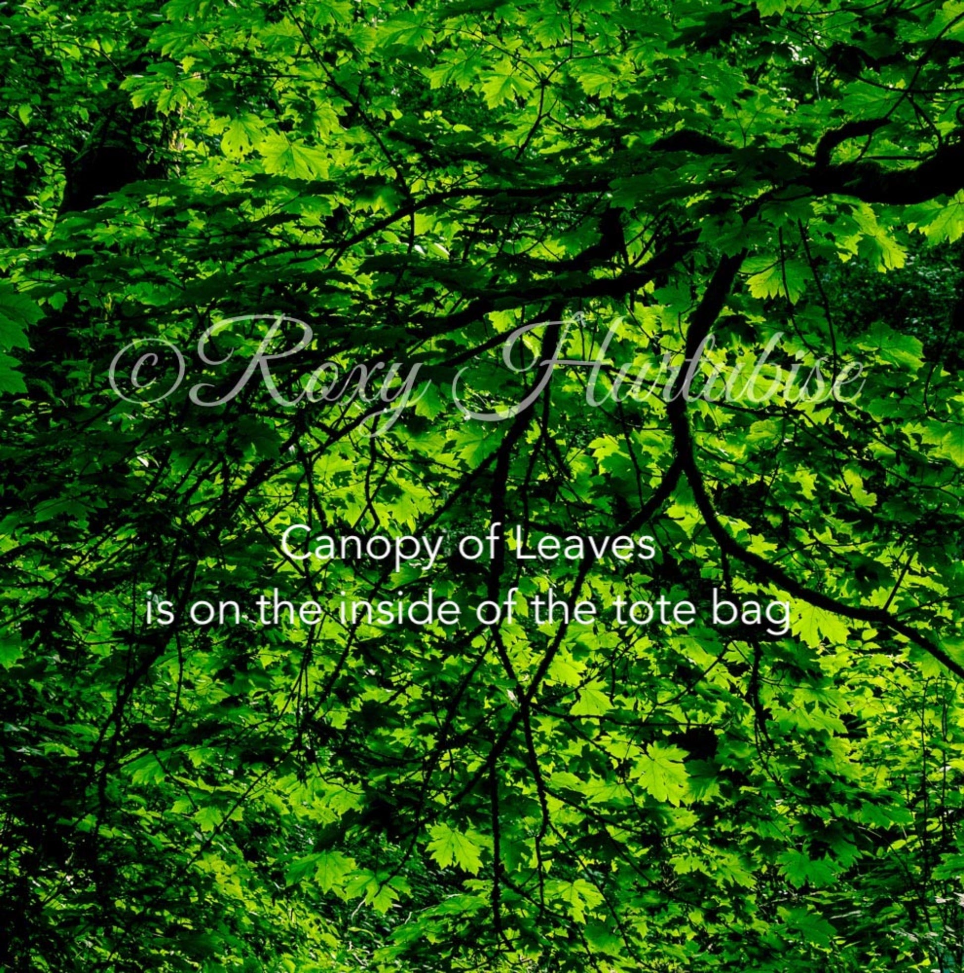 Canopy of Leaves is printed on the inside of the tote bag.