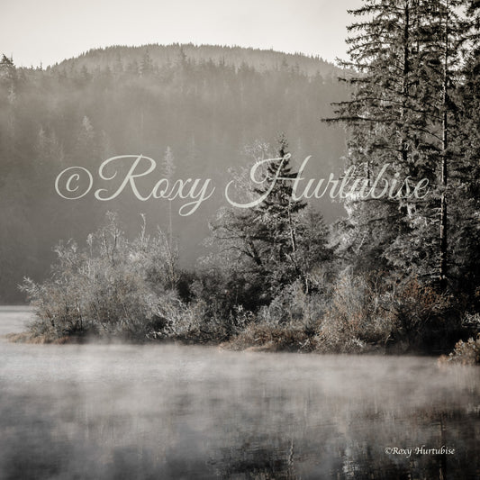 Fairy Lake Vintage Photography by Roxy Hurtubise