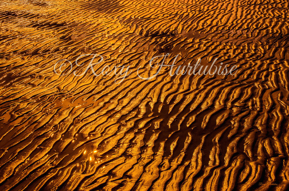 Golden Sand Photography by Roxy Hurtubise