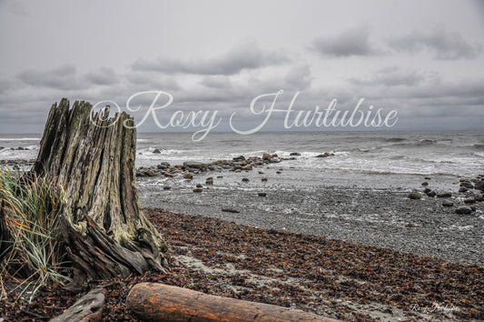 Gray Day Qualicum Beach Photography by Roxy Hurtubise