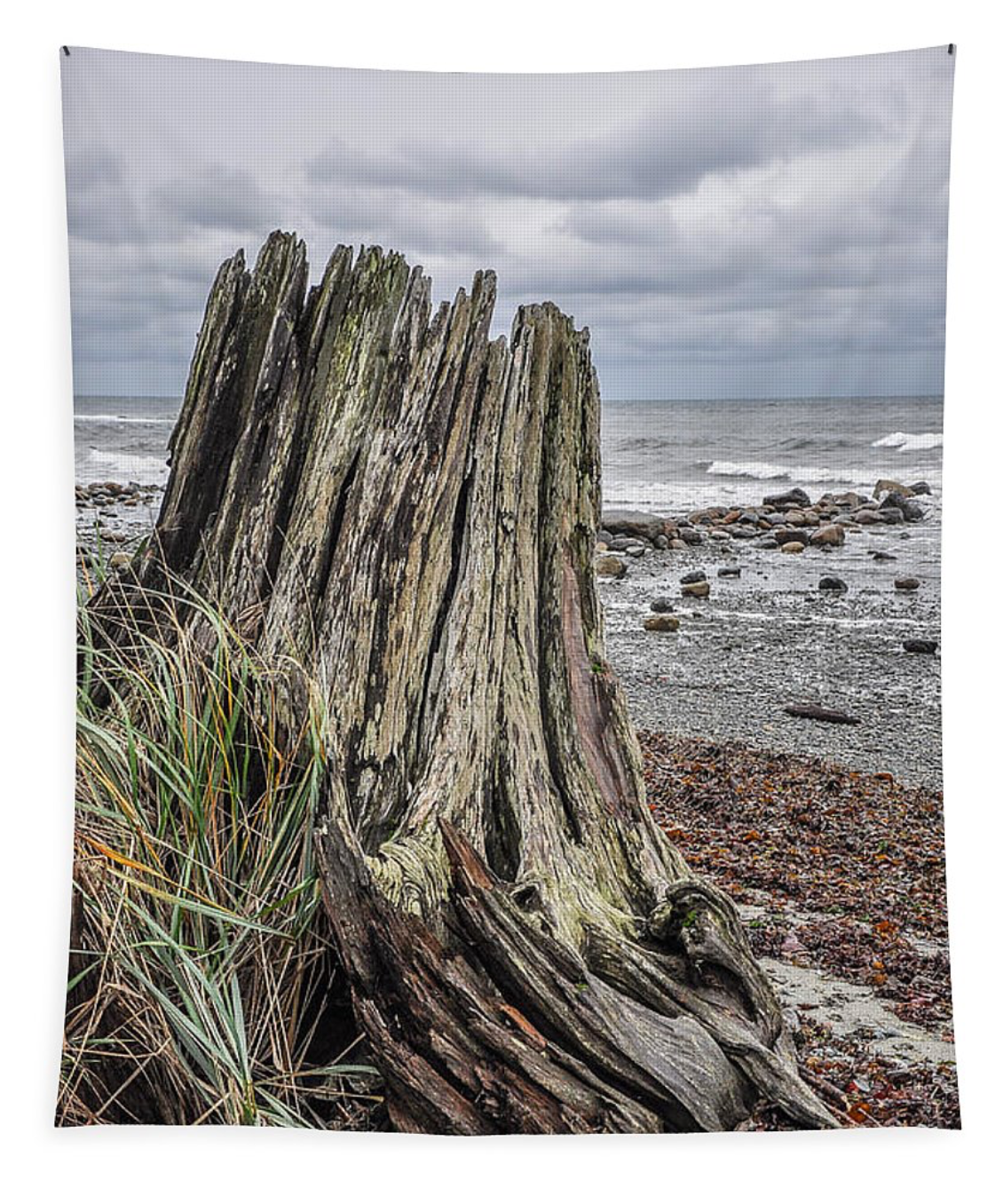 Gray Day Qualicum Beach Wall Tapestry