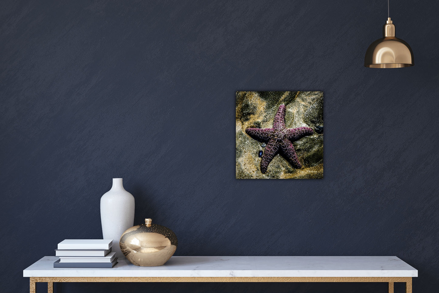 Starfish (Purple) Photography by Roxy Hurtubise