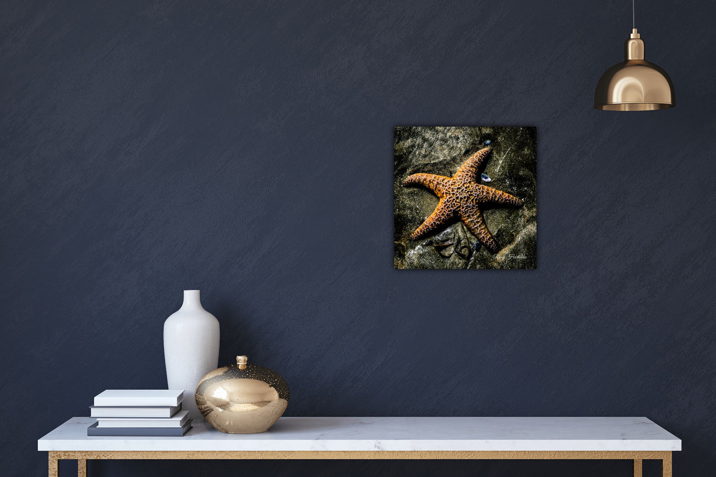 Starfish (Orange) Photography by Roxy Hurtubise