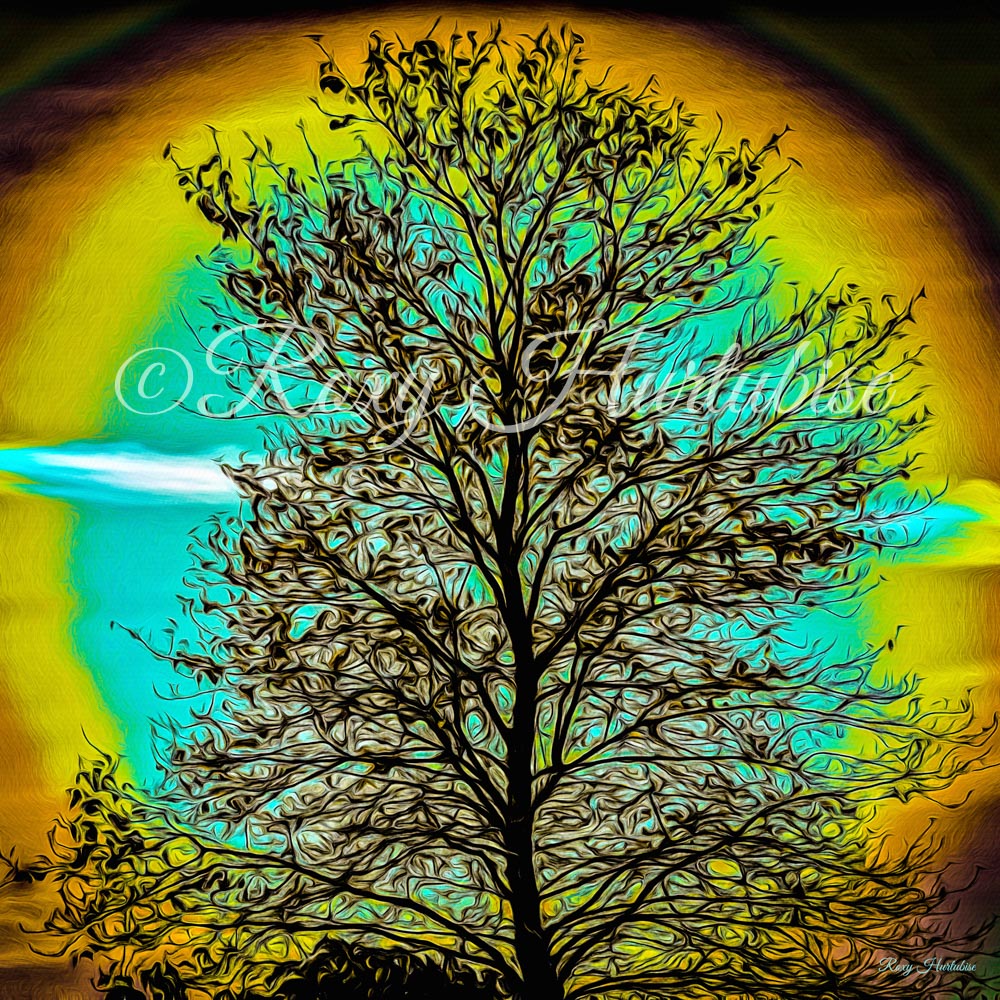 Island Tree of Life Photography by Roxy Hurtubise