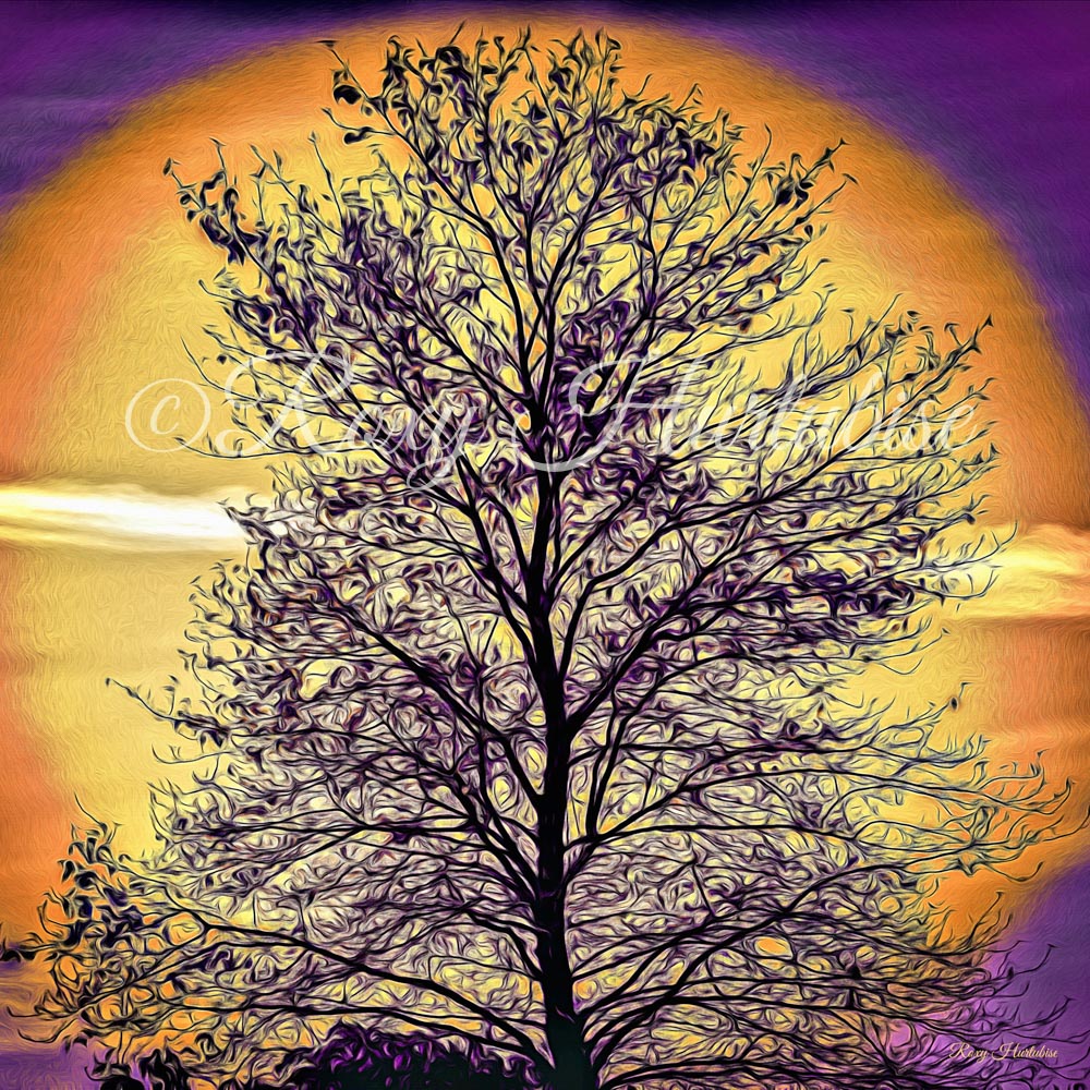 Island Tree of Life (purple) Photography by Roxy Hurtubise