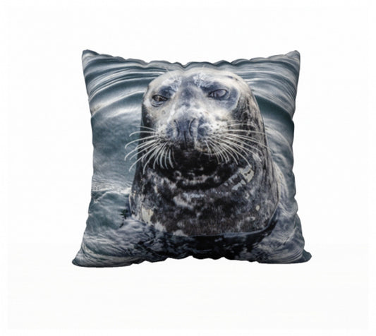 I Love Lucy Seal Nanaimo Harbour 22" x 22" Throw Pillow Cover