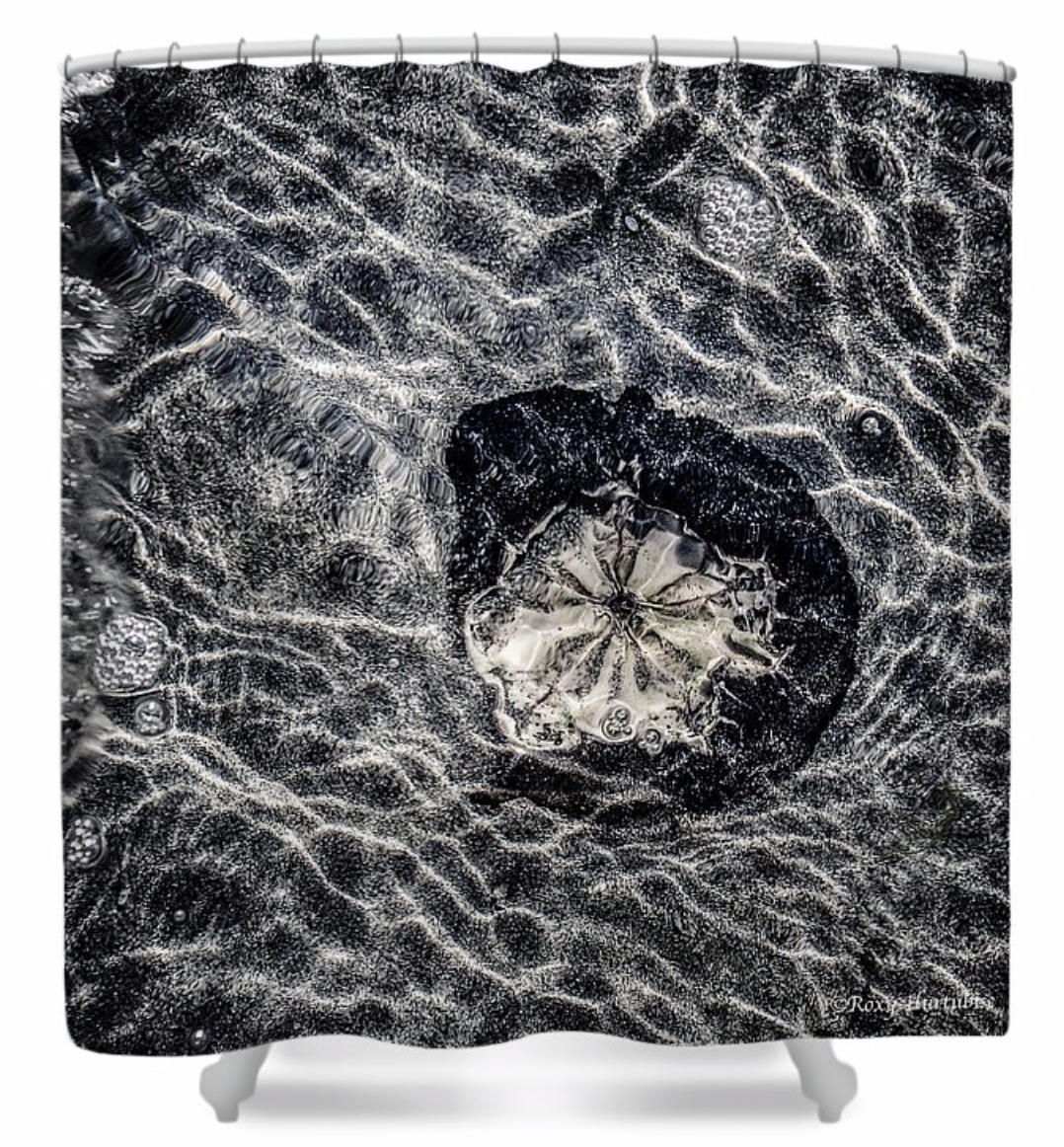 Inside Beauty Sand Dollar Shower Curtain