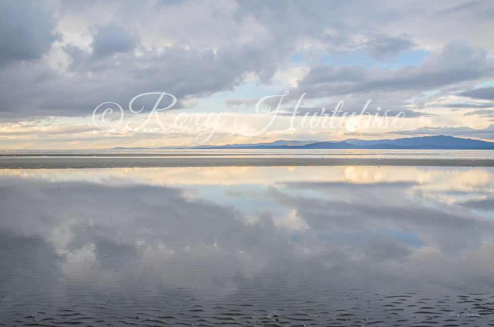 Light Language Parksville Beach Photography by Roxy Hurtubise