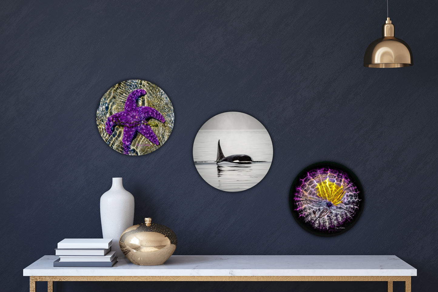 Last Day In May Starfish Photography Round Aluminum