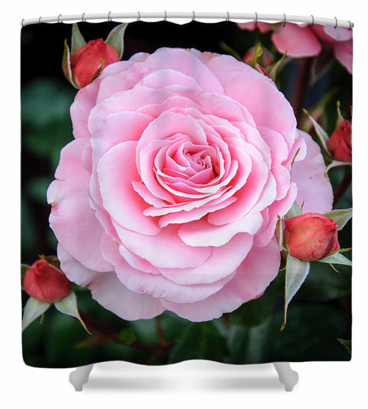 Love Surrounds Roses Shower Curtain