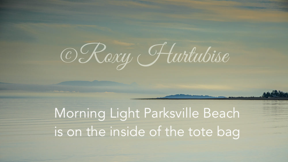 MORNINGLIGHTParksvillebyRoxyHurtubise