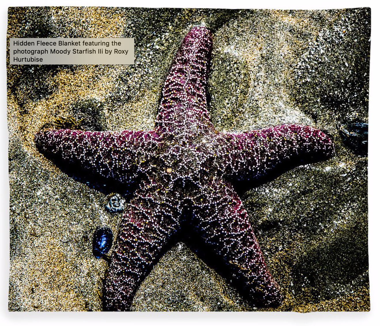 Moody Starfish Fleece Blankets