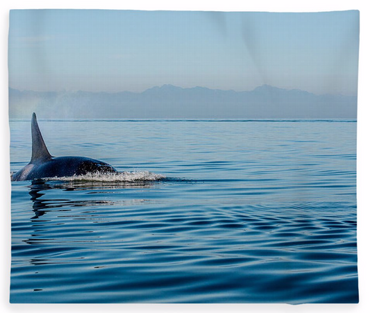 Orca Spray Fleece Blankets