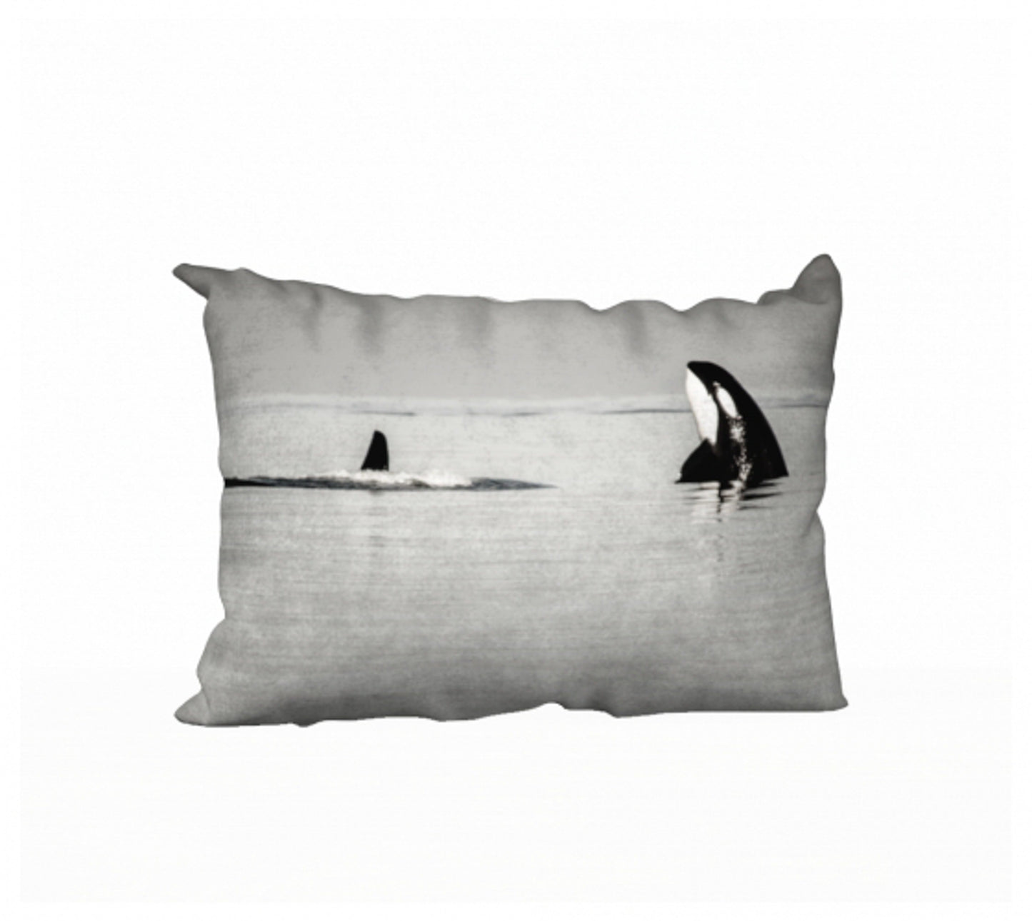 Orca Spy Hop 20" x 14" Throw Pillow Cover