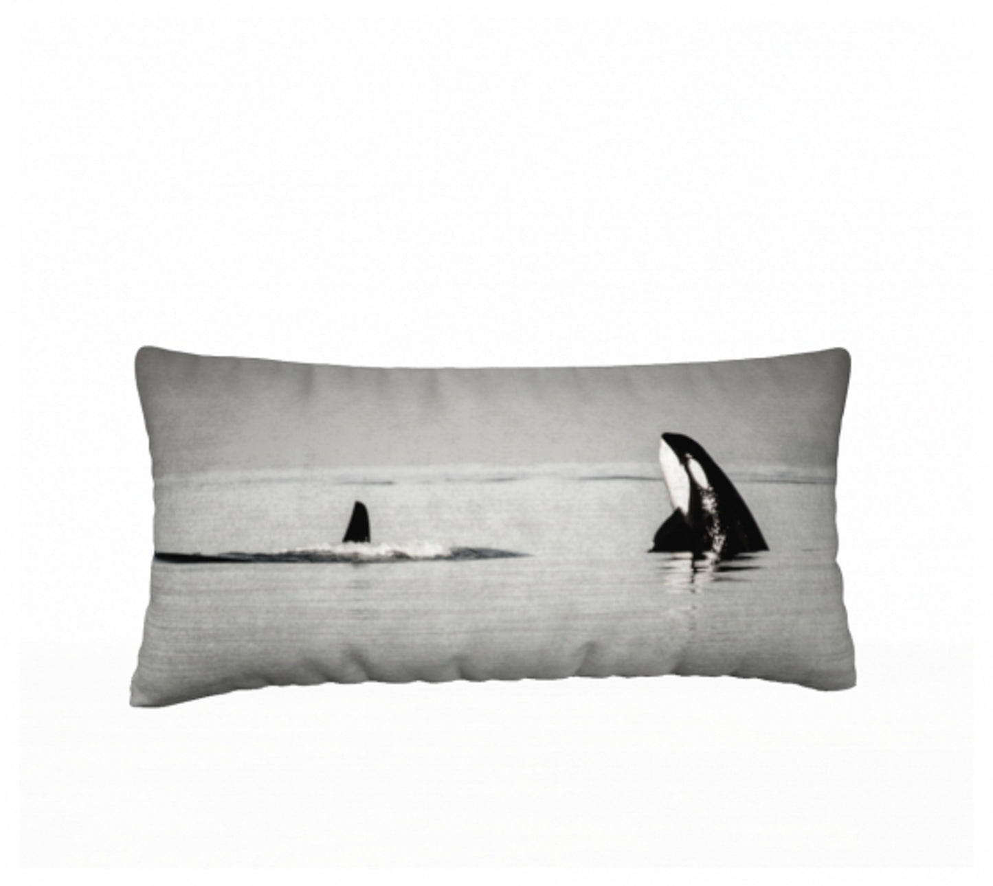 Orca Spy Hop 24" x 12" Throw Pillow Cover