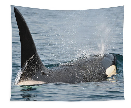 Orca Wall Tapestry