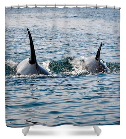 Orcas By My Side Shower Curtain
