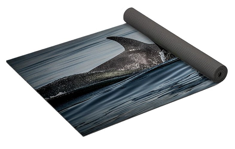Orca Power Pod Yoga Mat