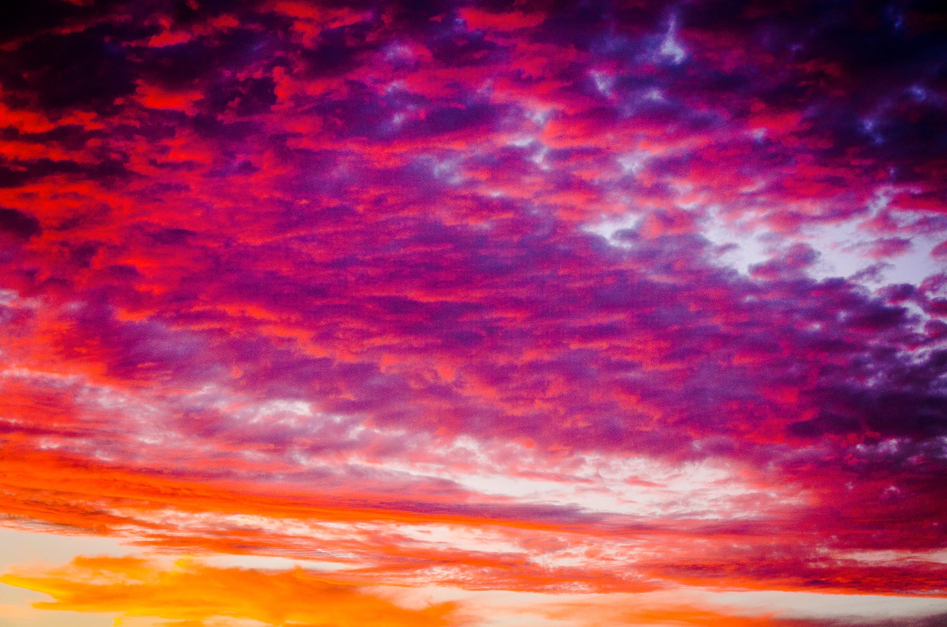 Sunset Cluds line the interior of the tote bag.