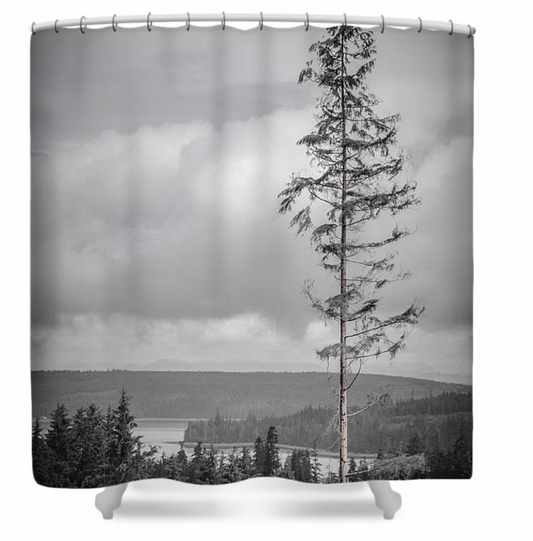 Tall Tree Shower Curtain
