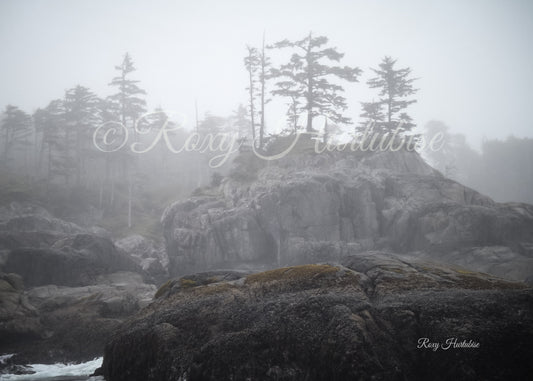 West Coast Ocean Fog Photography by Roxy