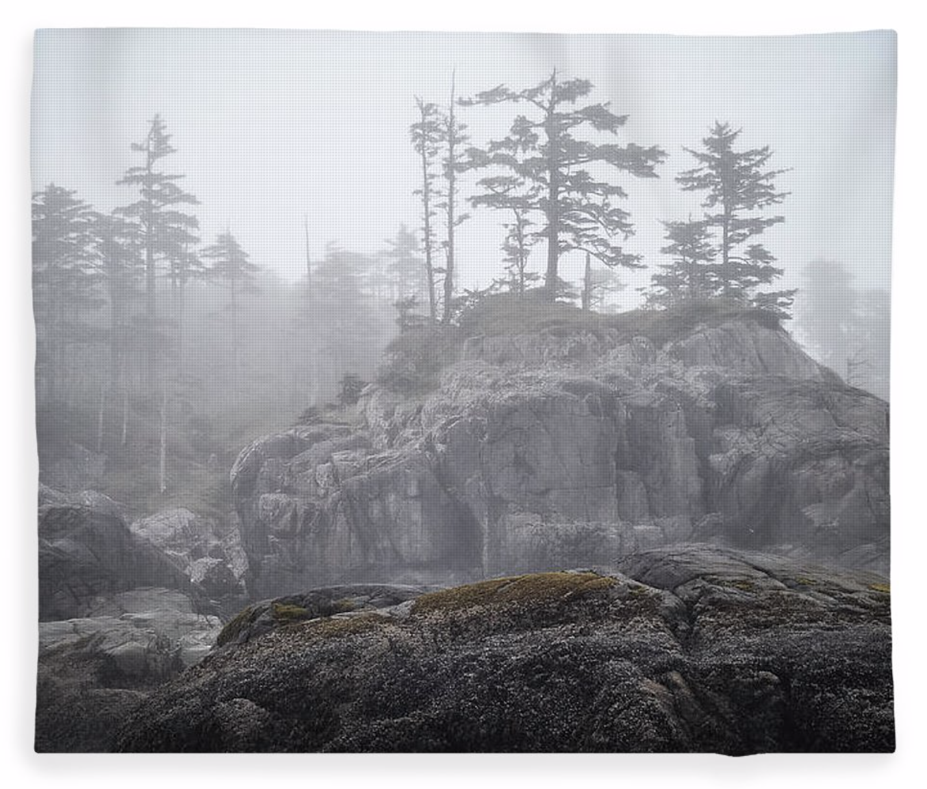West Coast Fog Fleece Blankets