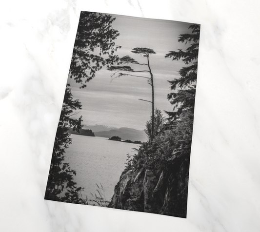 Peek a View Telegraph Cove Tea Towel Vancouver Island Photography by Roxy Hurtubise VanIsleGoddess.com