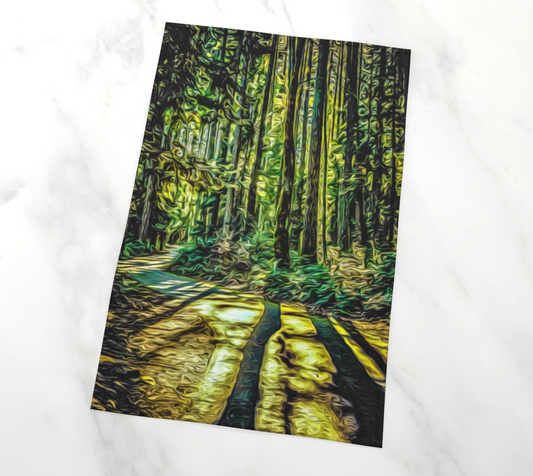 Long Shadows of Vancouver Island Tea Towels photographic art by Roxy Hurtubise VanIsleGoddess.com