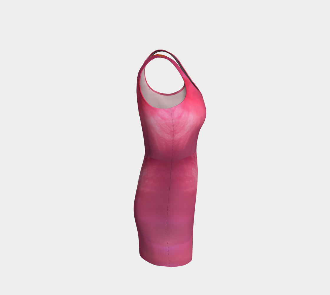Soft Rose Body Contour Dress by Roxy Hurtubise right side