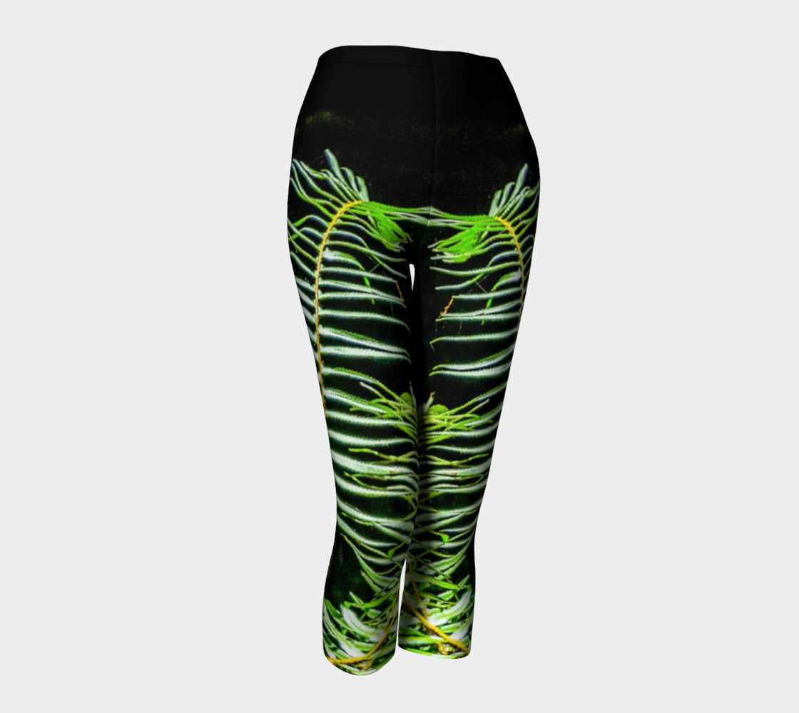 Rainforest Capris by Roxy Hurtubise front