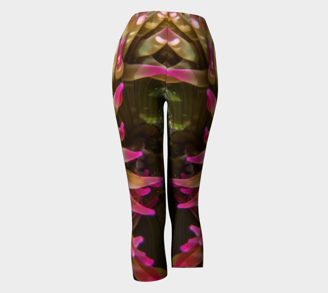 Enchanted Sea Anemone Capris by Roxy Hurtubise back